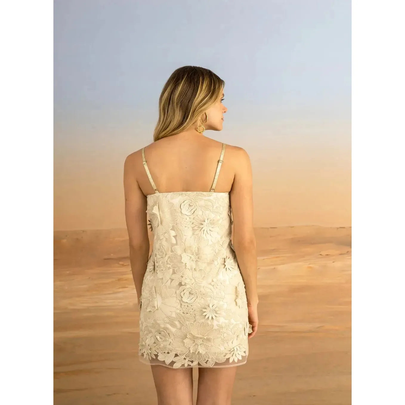 3D RENDA FLOWER DRESS