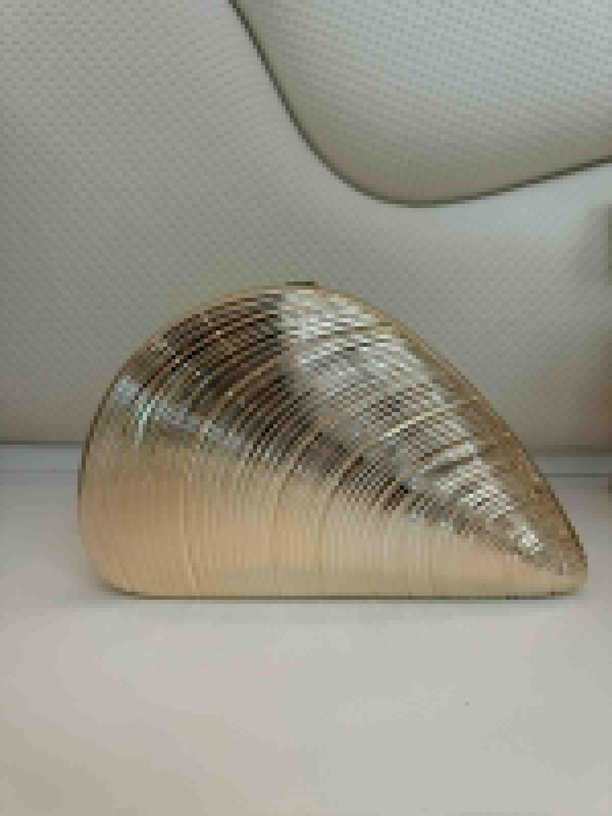 ITVOGUE CONCHA CLUTCH