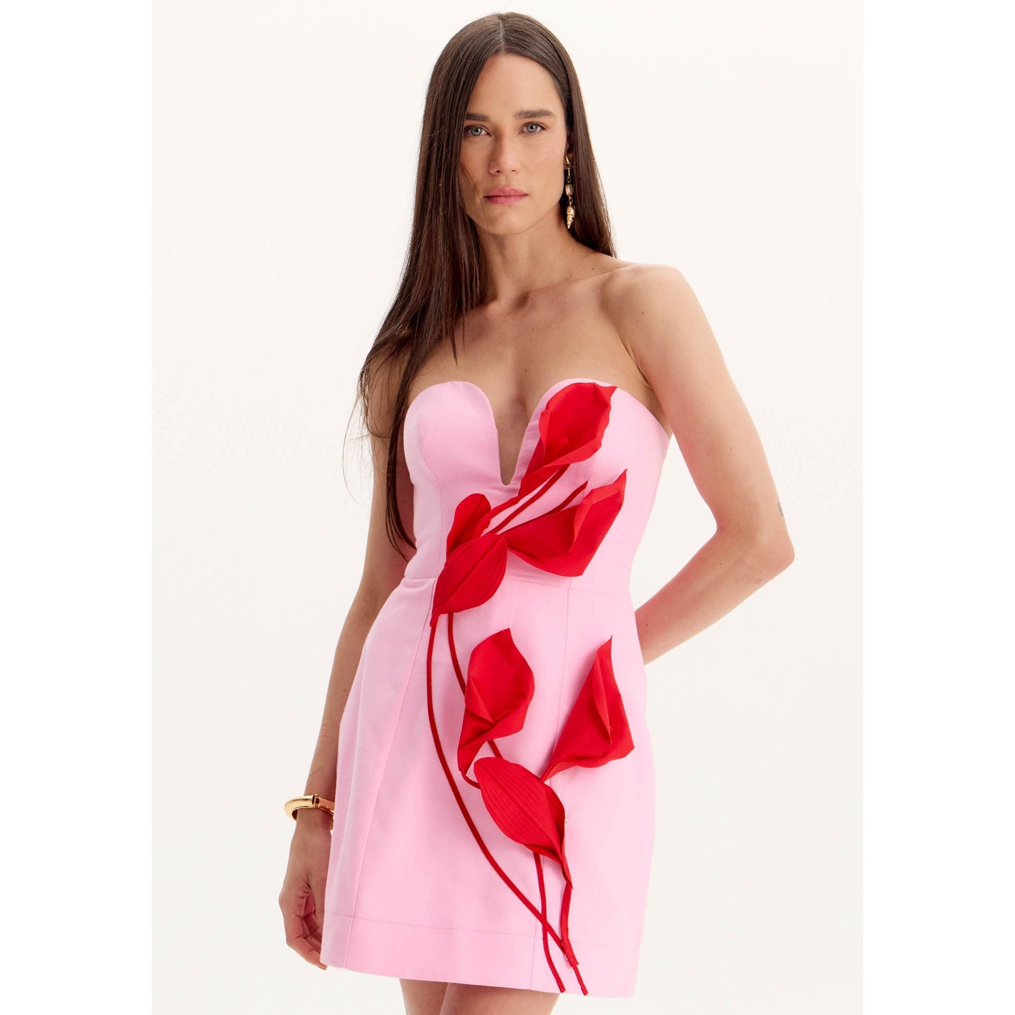AMAR APPLIQUÉ PINK DRESS