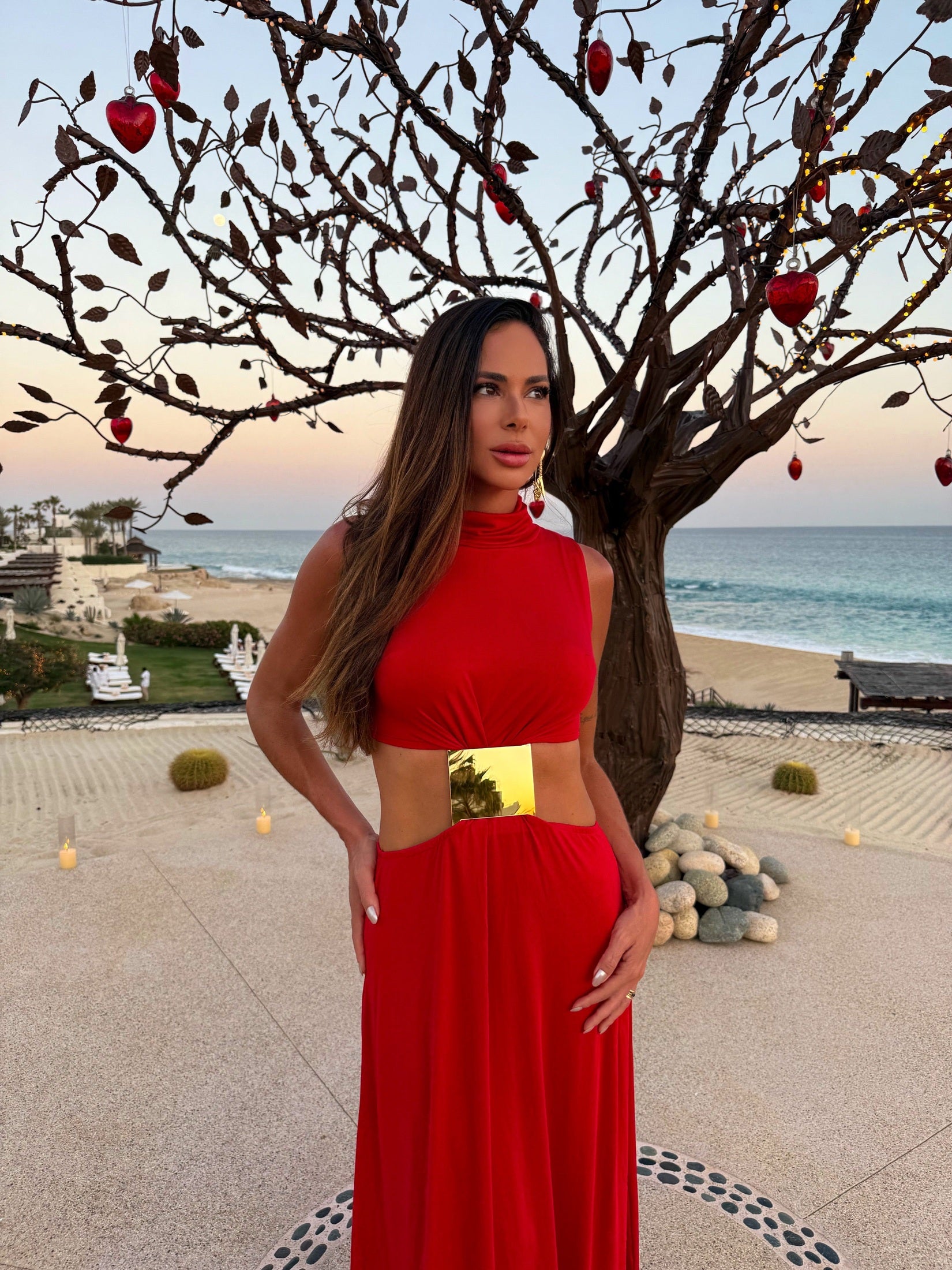 MIRO RED DRESS